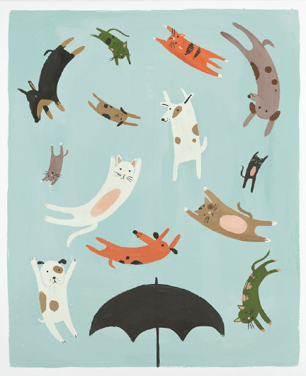 can it really rain cats and dogs