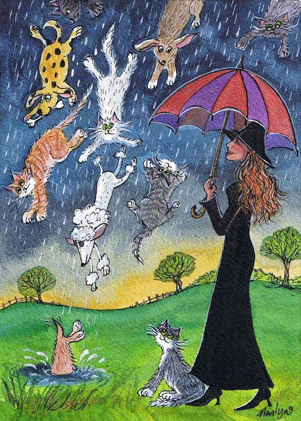 what does raining cats and dogs mean