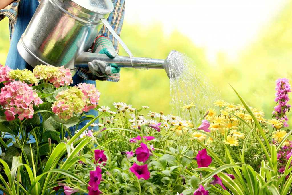 A person watering flowering plants